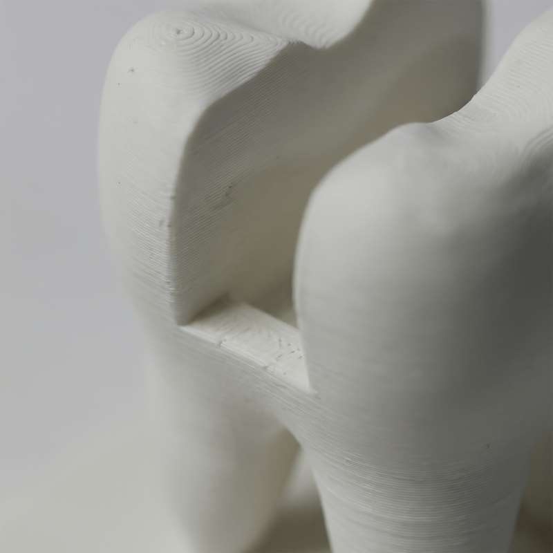 3D-печатный держатель для визи – обзор и цена 3D Printing Tooth